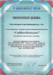 Сертификат дилера от 12.05.2011